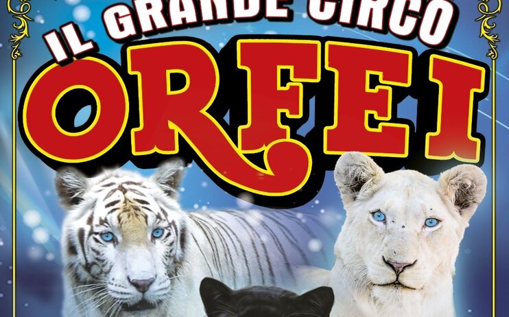 Il Grande Circo Orfei - Presso Centro Commerciale Forum - Dal 24 Novembre 2023 al 28 Gennaio 2024